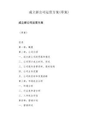 成立新公司运营方案(草案)39549.pdf