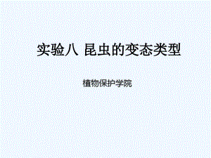 普昆实验八昆虫的变态类型8503.pdf