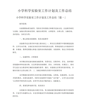 小学科学实验室工作计划及工作总结11249.pdf