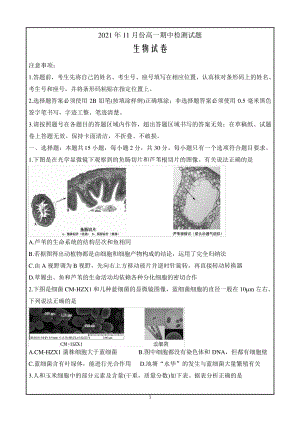 山东省潍坊(安丘市、诸城市、高密市)2021-2022学年高一上学期期中考生物Word版含答案9230.pdf