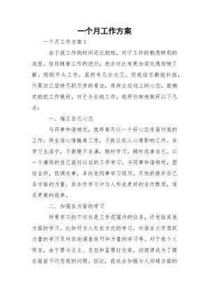 一个月工作方案_2.docx