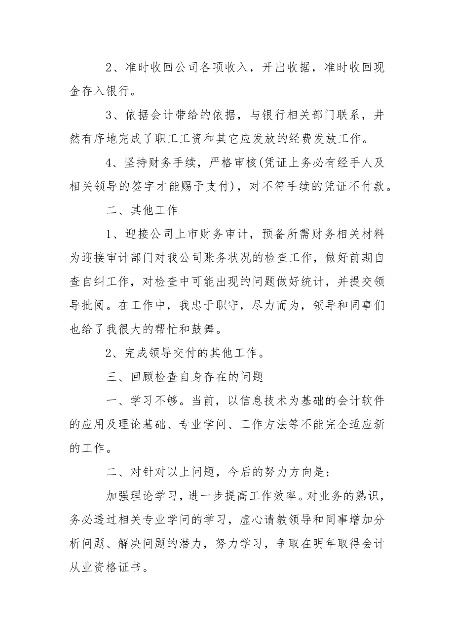 会计个人工作总结,会计工作总结.docx_第2页