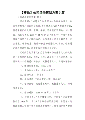 【精品】公司活动策划方案3篇.docx