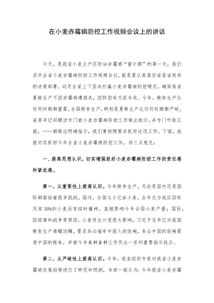 在小麦赤霉病防控工作视频会议上的讲话.docx