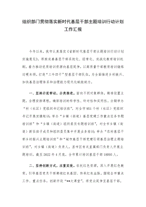 组织部门贯彻落实新时代基层干部主题培训行动计划工作汇报.docx