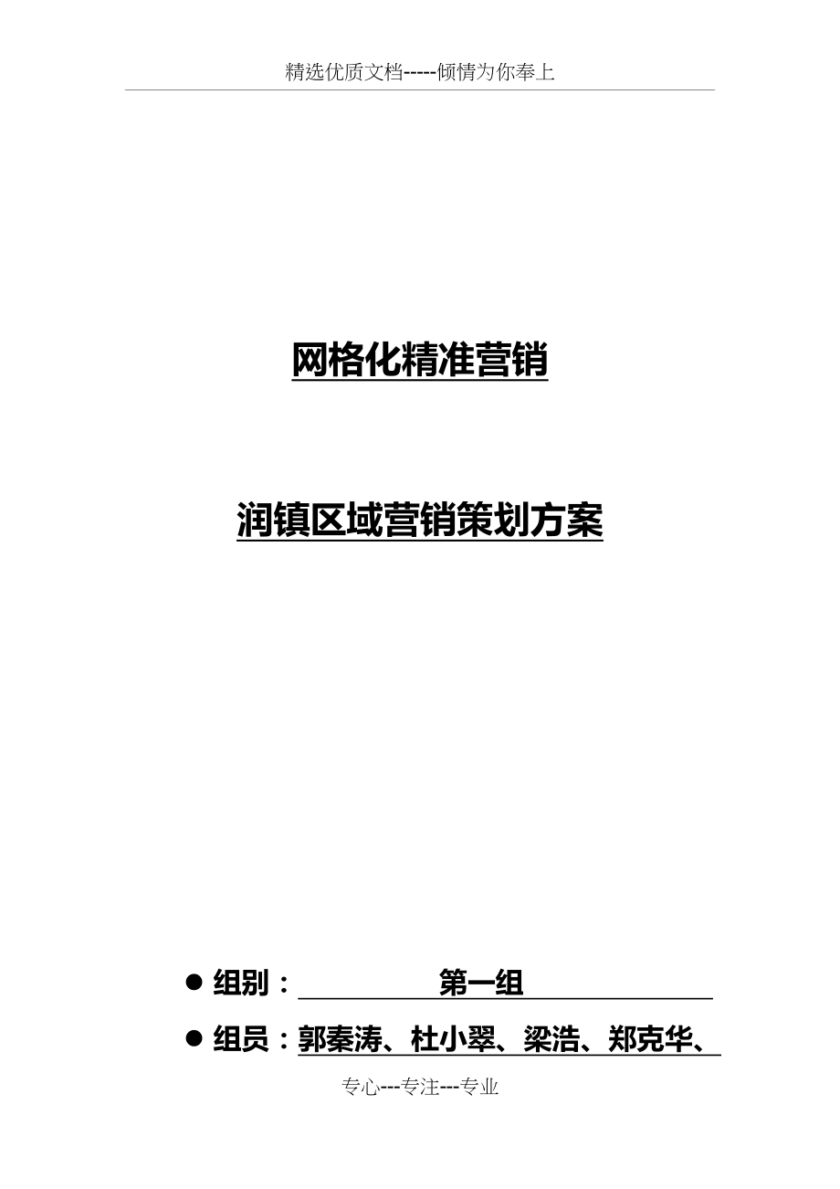 网格化精准营销策划方案.docx_第1页