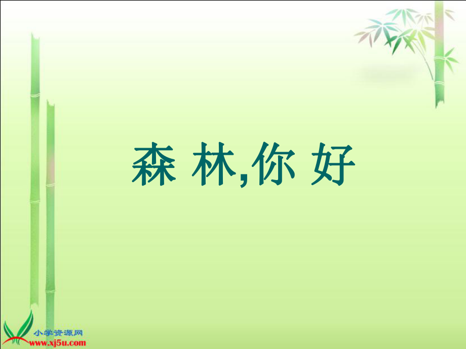 《森林你好》.ppt_第1页