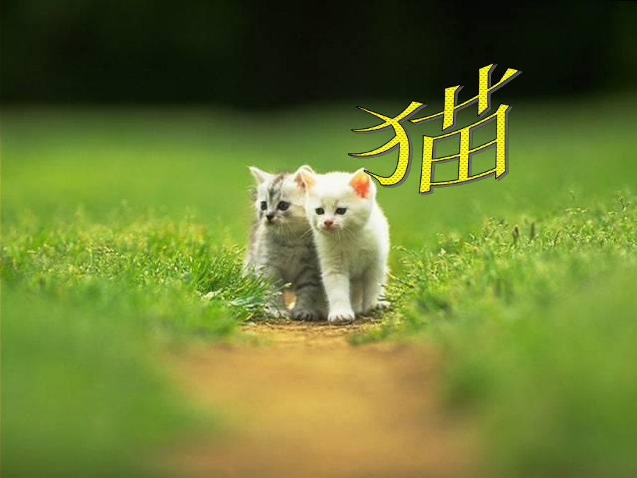 《猫》课件.ppt_第1页