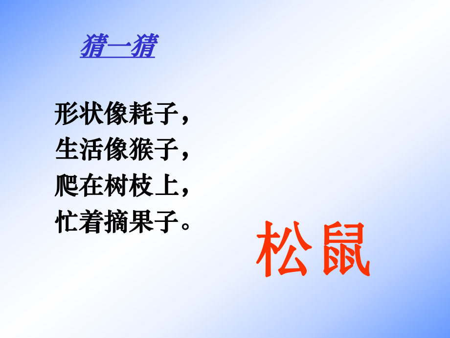 《松鼠和松果》课件1.ppt_第1页