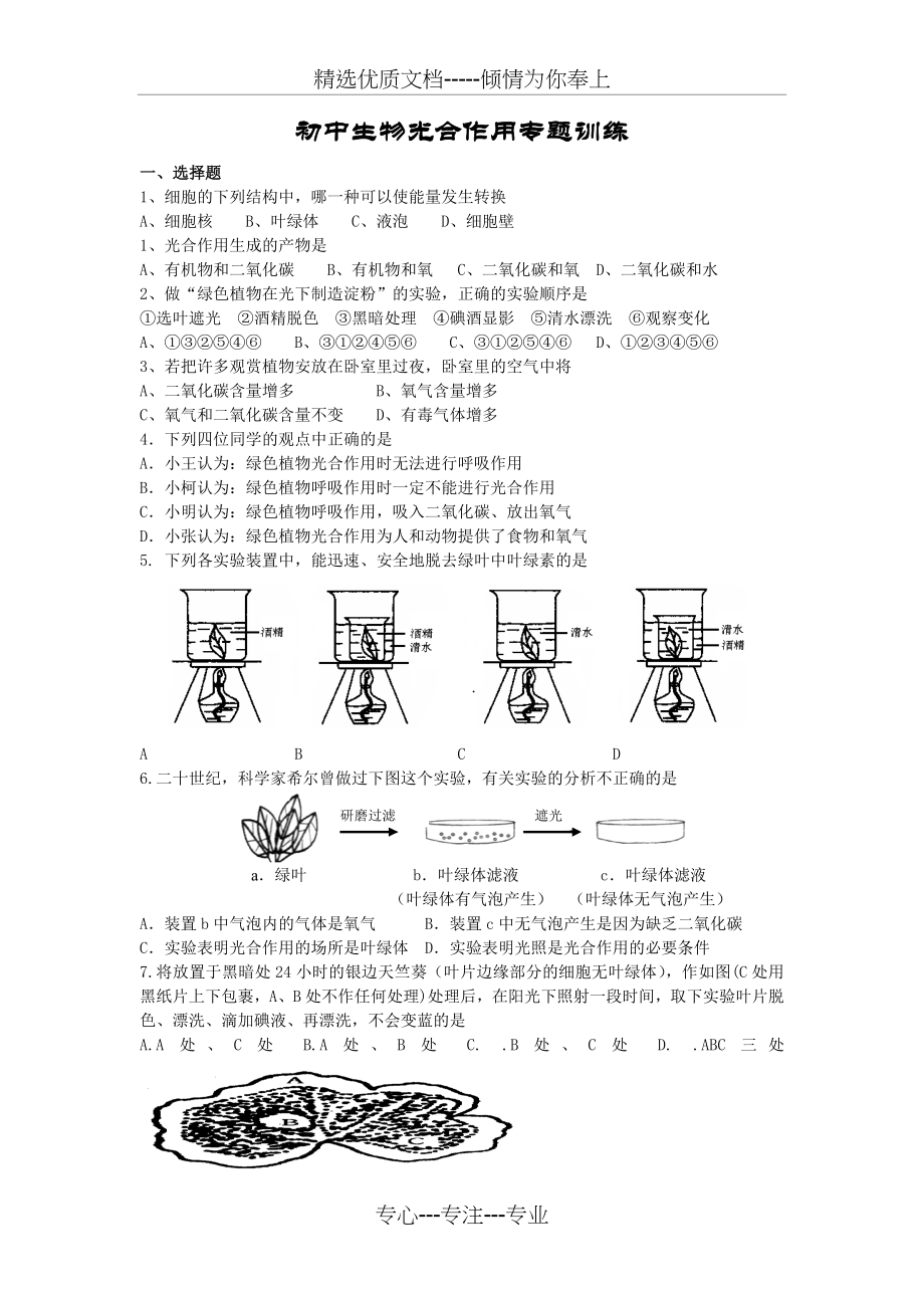 初中生物光合作用专题(共7页).doc_第1页