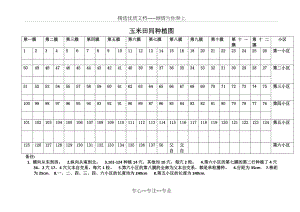 玉米田间种植图.docx