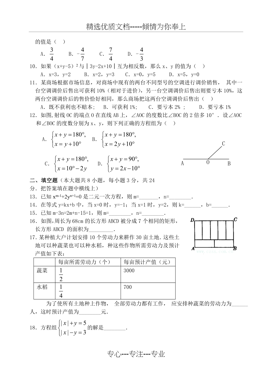 初一下册二元一次方程组.doc_第2页