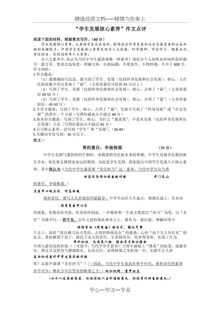 学生发展核心素养--作文点评.docx_第1页