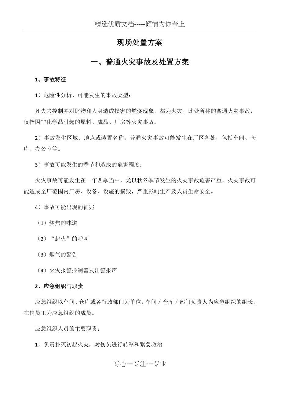 现场处置方案.docx_第1页